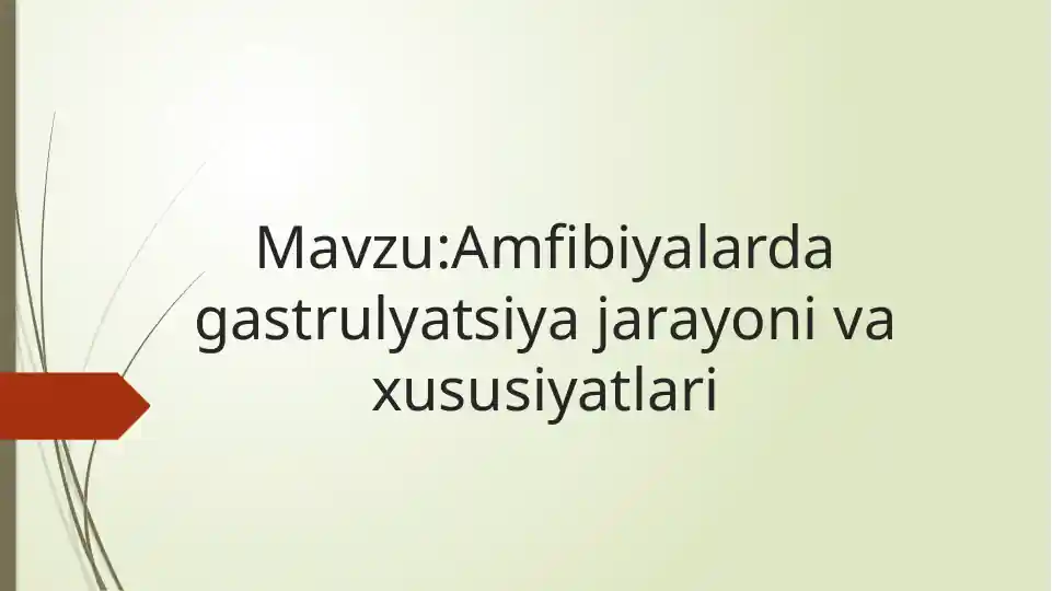Amfibiyalarda gastrulyatsiya jarayoni va xususiyatlari