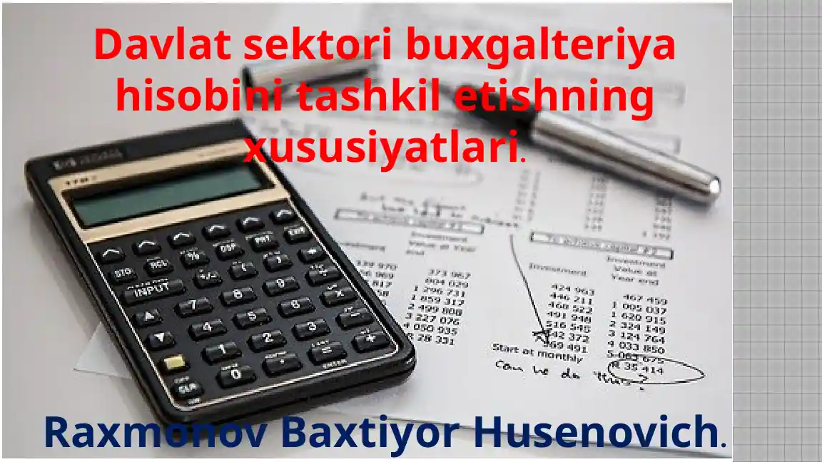 Davlat sektori buxgalteriya hisobi tashkilotlarining xususiyatlari
