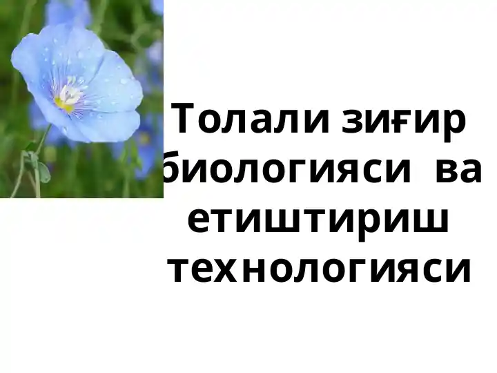 Толали зиғир биологияси ва етиштириштехнологияси