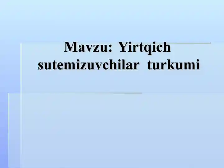 Yirtqich sutemizuvchilar turkumi