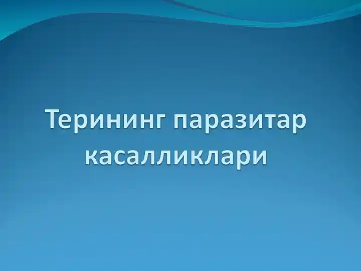 Терининг паразитар касалликлари