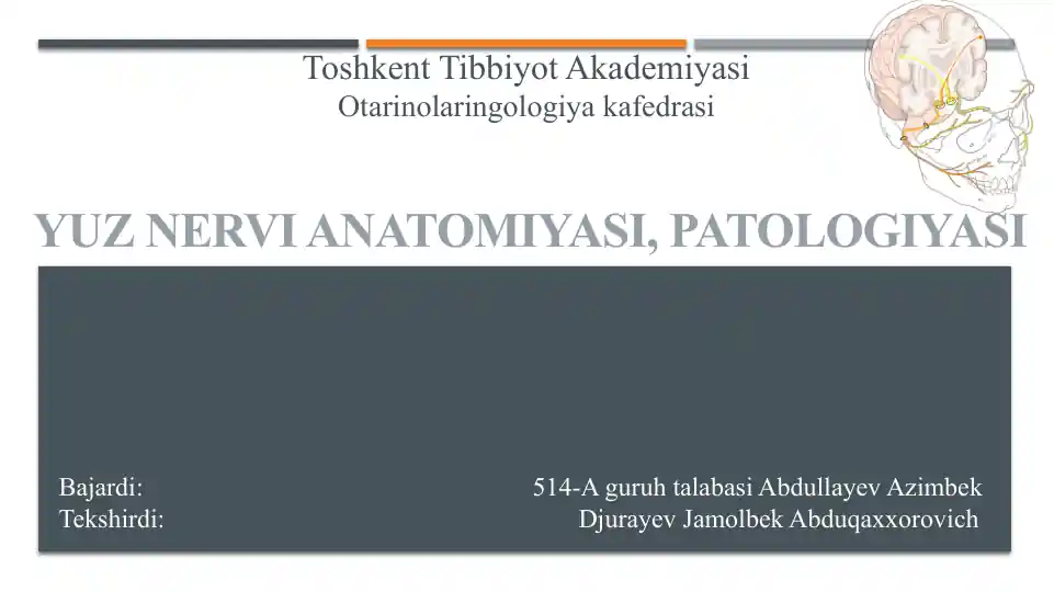 YUZ NERVI ANATOMIYASI, PATOLOGIYASI