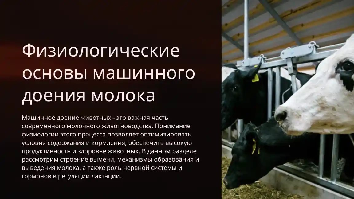 Физиологические основы машинного доения молока