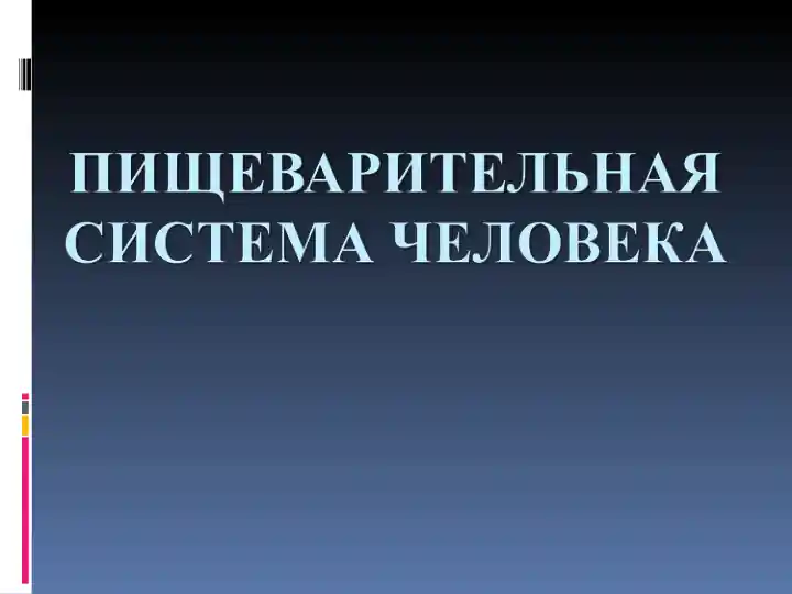 Пищеварительная система и процесс пищеварения