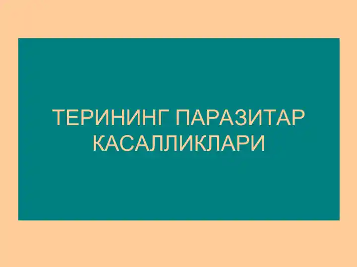 Терининг Паразитар Касалликлари