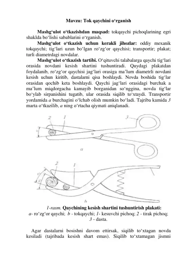Tok qaychini o‘rganish