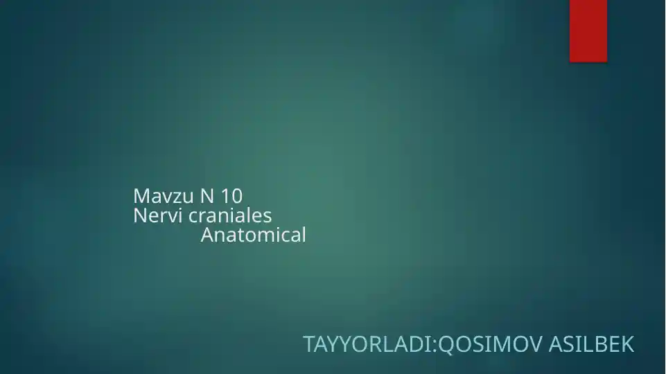 Nervicraniales Anatomiya