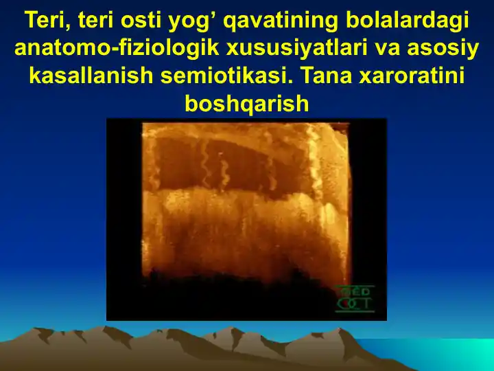 Teri, teri osti yogʼ qavatining bolalardagi anatomo-fiziologik xususiyatlari va asosiy kasallanish semiotikasi. Tana xaroratini boshqarish