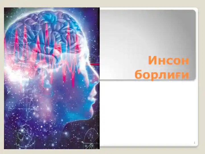 Инсон борлиғи