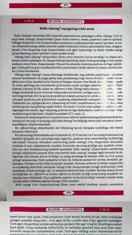 Kalla chanog'i suyagining ichki asosi