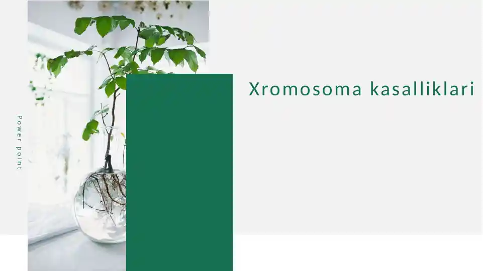 Xromosoma kasalliklari