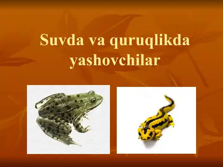 Baqasimonlar (Ranidae)