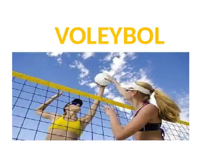 Voleybol