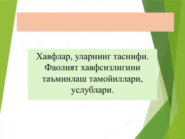 HAVFLAR, Ularning tasnifi. Faoliyat havfsizligini ta'minlash tamoillari, uslublari