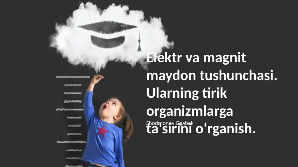 Elektr va magnit maydon tushunchasi