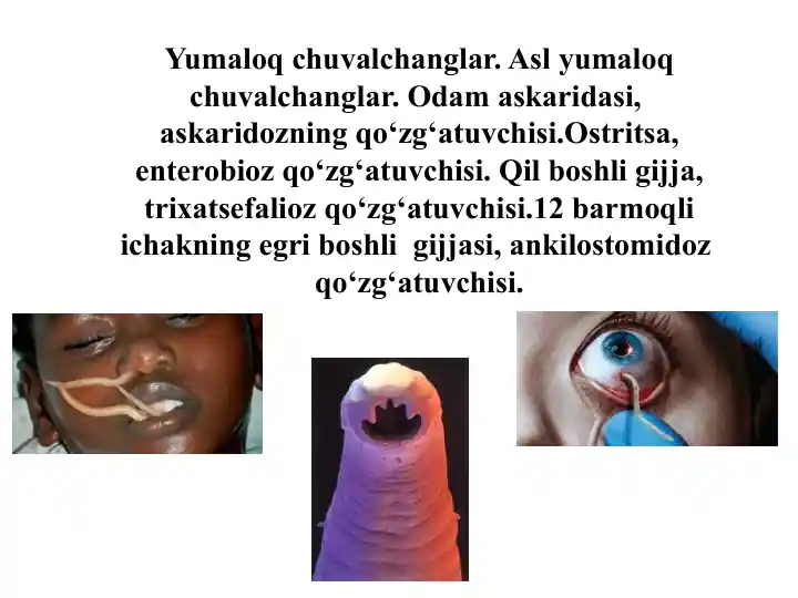 Yumaloq chuvalchanglar