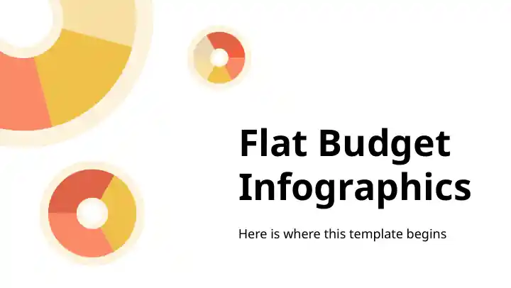 Flat Budget Infographics