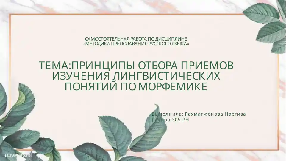 Методика преподавания русского языка