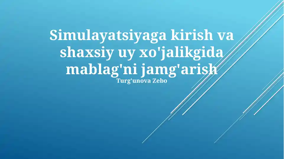 Simulyatsiyaga kirish va shaxsiy uy xo'jalikgida mablag'ni jamg'arish