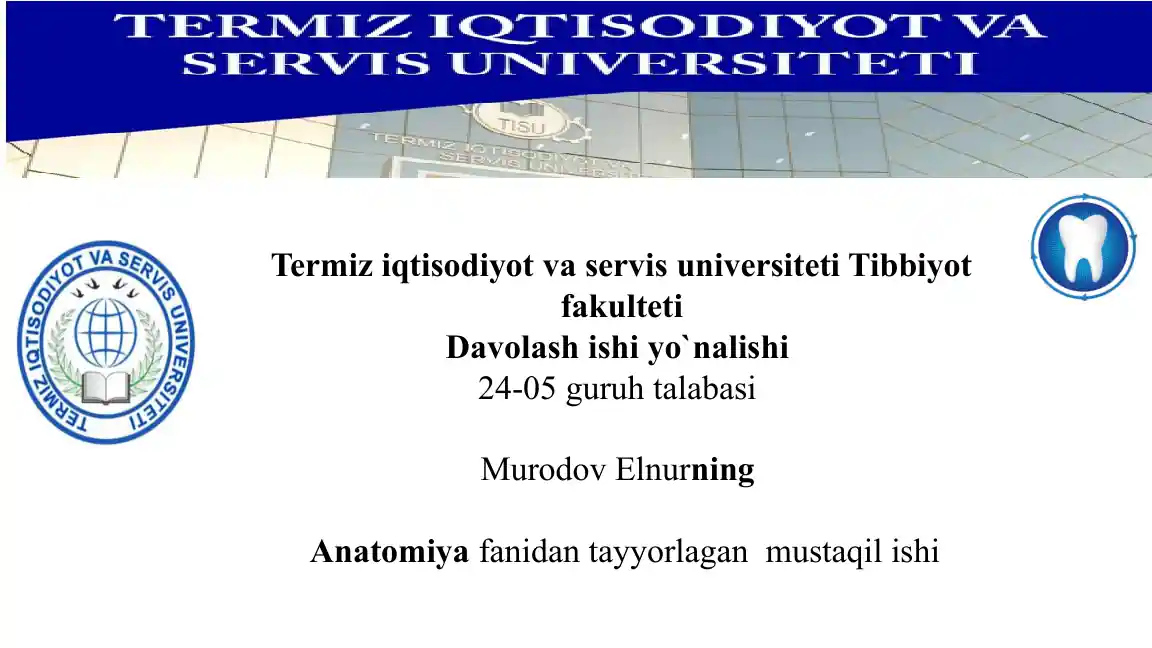 Chanoq sohasi anatomiyasi