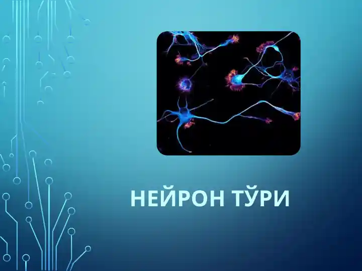 Нейрон тўри