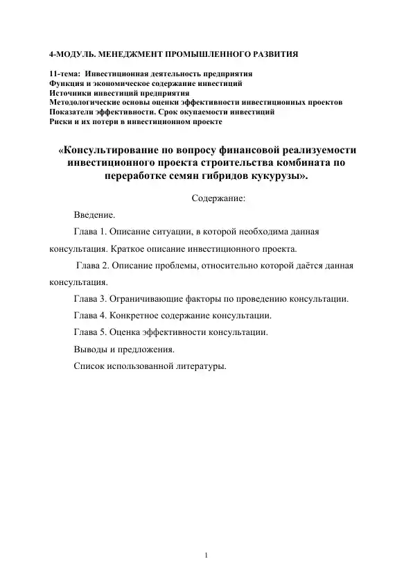 Консультация по финансовой реализуемости инвестиционного проекта