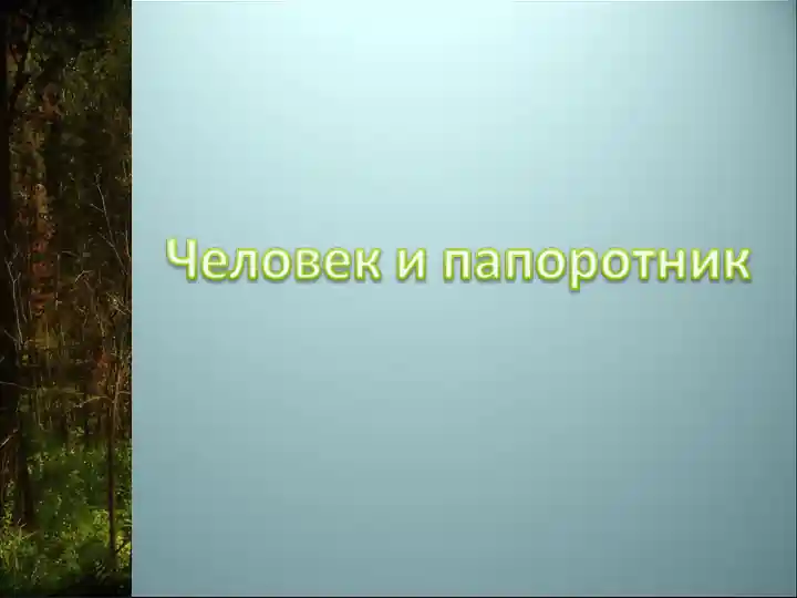 Папоротник и клады