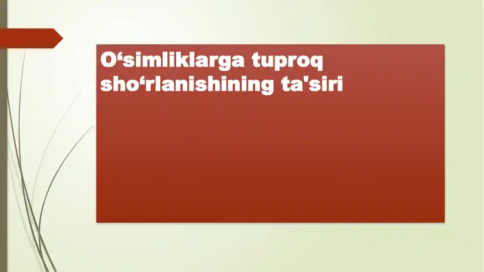 O‘simliklarga tuproq sho‘rlanishining ta'siri