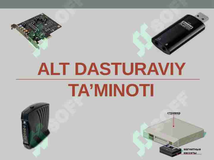 ALT dasturaviy ta’minoti