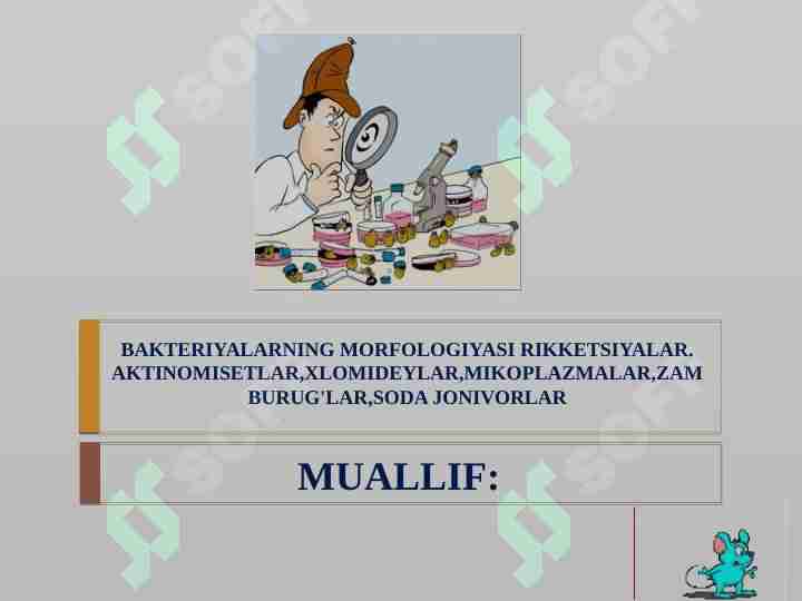 BAKTERIYALARNING MORFOLOGIYASI RIKKETSIYALAR. AKTINOMISETLAR,XLOMIDEYLAR,MIKOPLAZMALAR,ZAMBURUG'LAR,SODA JONIVORLAR