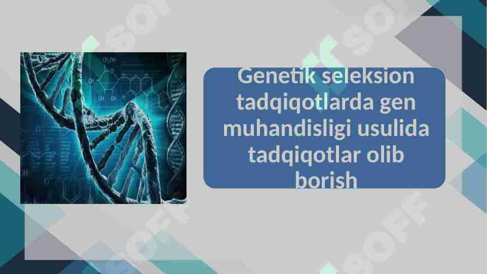 Genetik seleksion tadqiqotlarda gen muhandisligi usulida tadqiqotlar olib borish