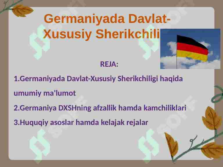 Germaniyada Davlat-Xususiy Sherikchiligi