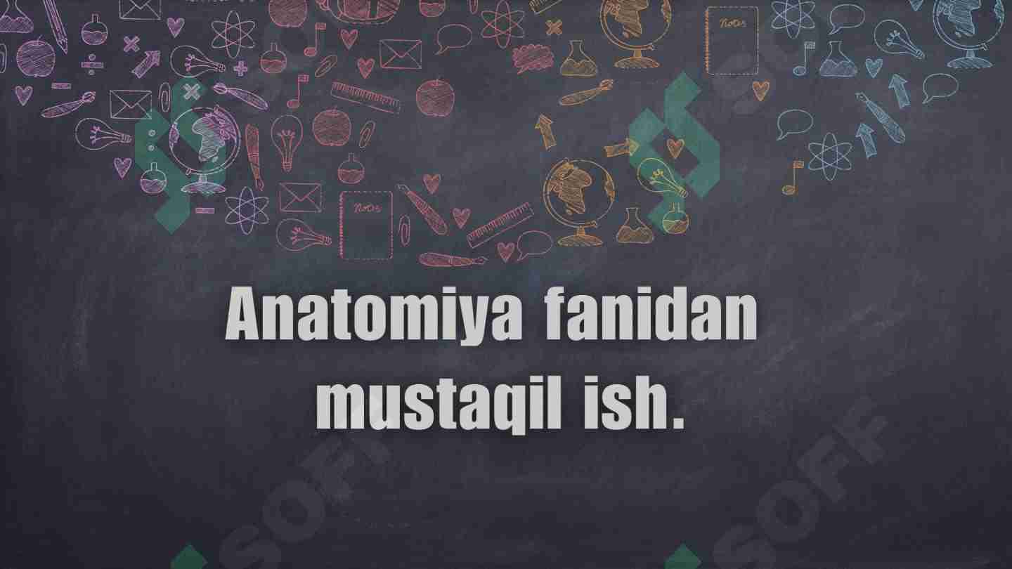 Ko‘krak va qorin mushaklari