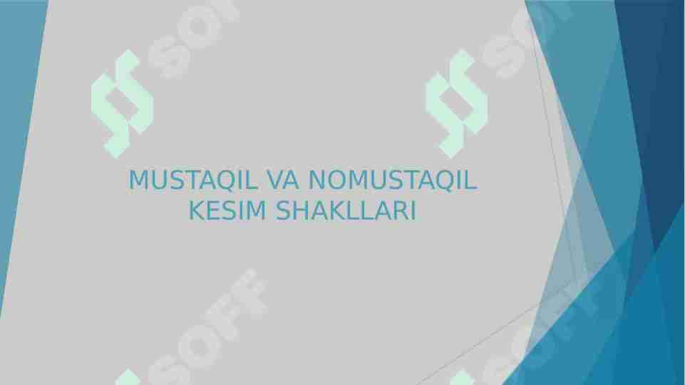 MUSTAQIL VA NOMUSTAQIL KESIM SHAKLLARI