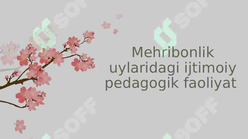 Mehribonlik uylaridagi ijtimoiy pedagogik faoliyat