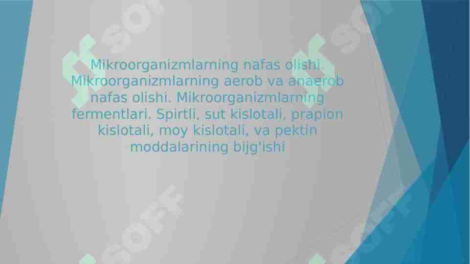 Mikroorganizmlarning nafas olishi. Mikroorganizmlarning aerob va anaerob nafas olishi. Mikroorganizmlarning fermentlari. Spirtli, sut kislotali, prapion kislotali, moy kislotali, va pektin moddalarining bijg'ishi