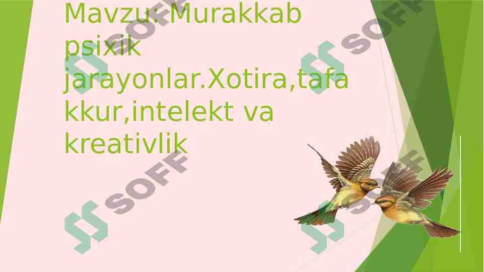Murakkab psixik jarayonlar.Xotira,tafakkur,intelekt va kreativlik