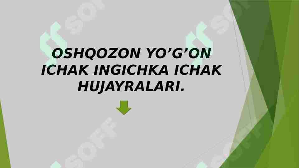 OSHQOZON YO’G’ON ICHAK INGICHKA ICHAK HUJAYRALARI