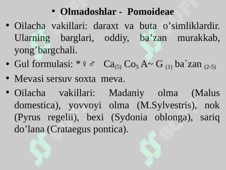 Olmadoshlar - Pomoideae