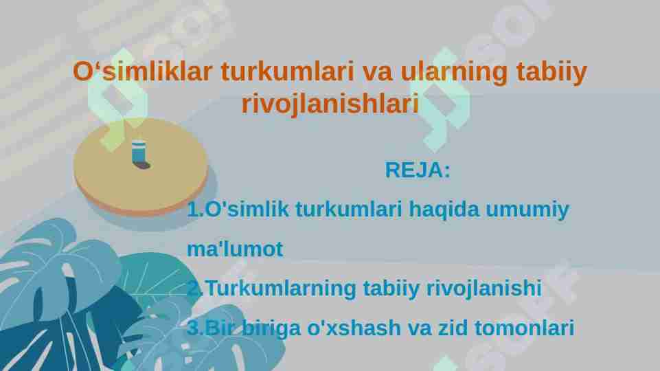 Oʻsimliklar turkumlari va ularning tabiiy rivojlanishlari