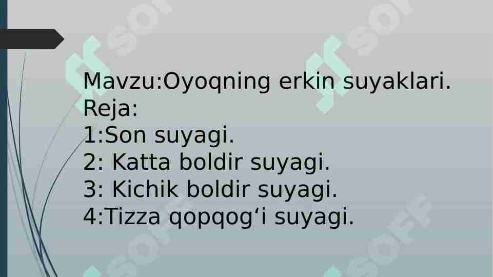 Oyoqning erkin suyaklari
