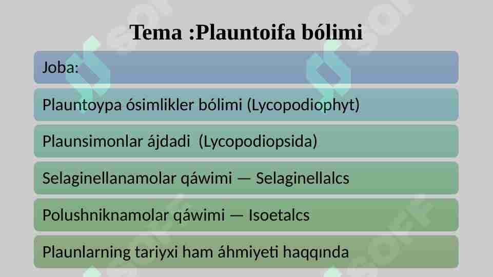 Plauntoifa bólimi