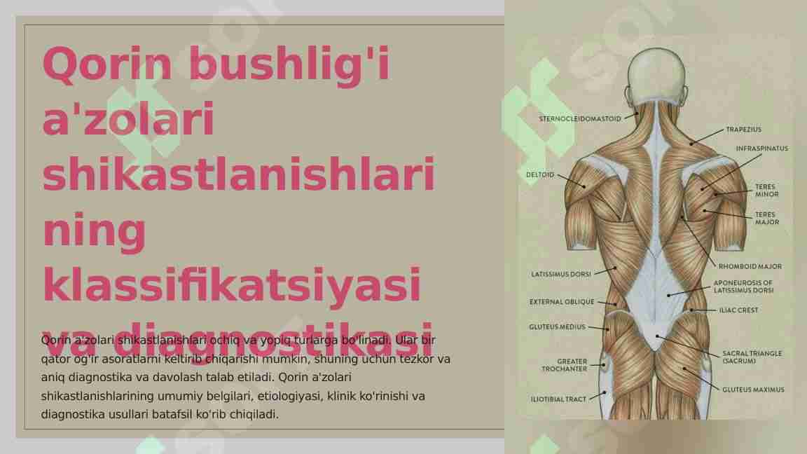 Qorin Buzilishi A'zolarining Shikastlari