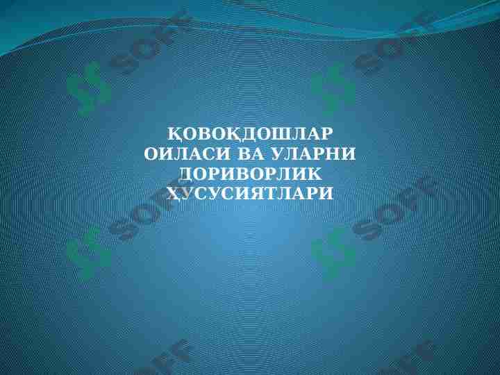 Qovoqdoshlar oilasi va ularni dorivorlik xususiyatlari