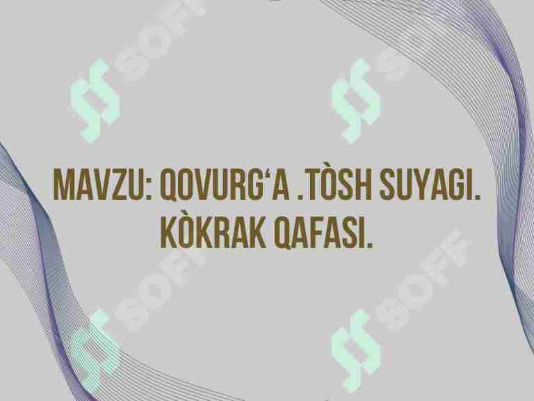 Qovurg‘a, to‘sh suyagi. Ko‘krak qafasi