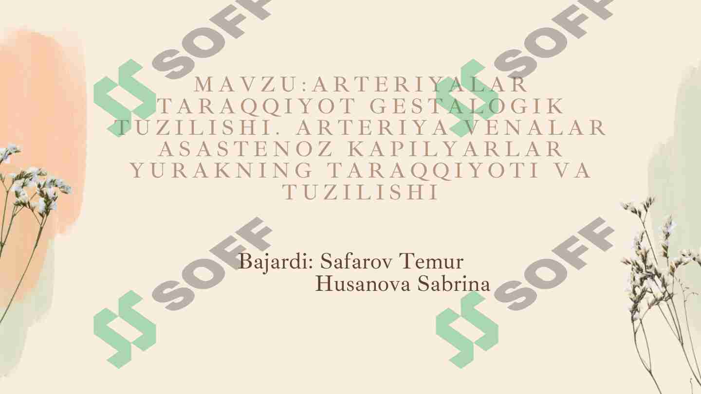 Arteriyalar taraqqiyot gestalogik tuzilishi. Arteriya venalar asastenoz lapilyarlar yurakning taraqqiyoti va tuzilishi