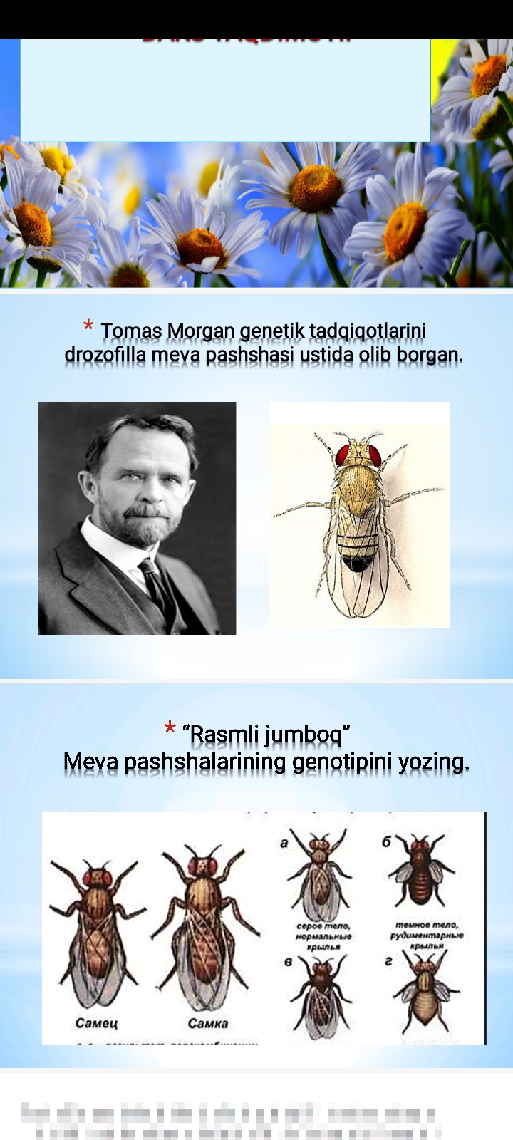 BELGILARNING JINSGA BOG‘LIQ HOLDA IRSIYLANISHI DARS TAQDIMOTI.