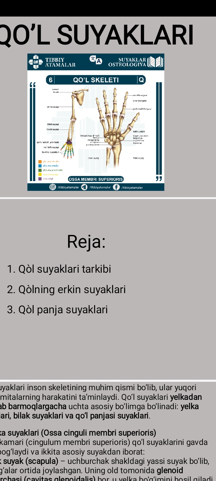 Qo‘l suyaklari