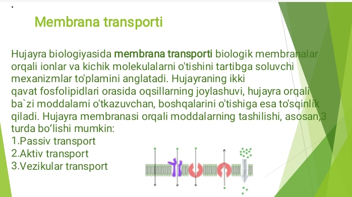 Plazmolemma orqali moddalar transporti mexanizmi