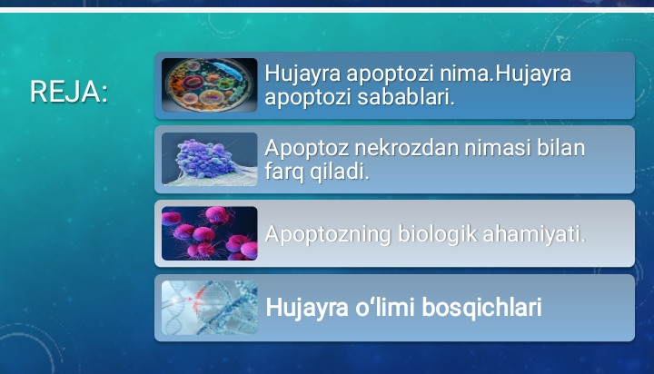 Hujayra apoptozi